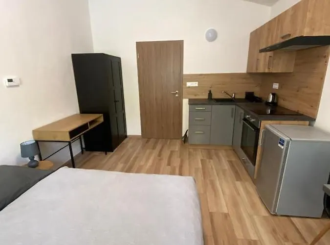 Cerna Ruze - 7 * Pilzno