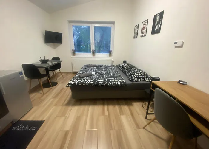 černá Růže - 7 Plzeň