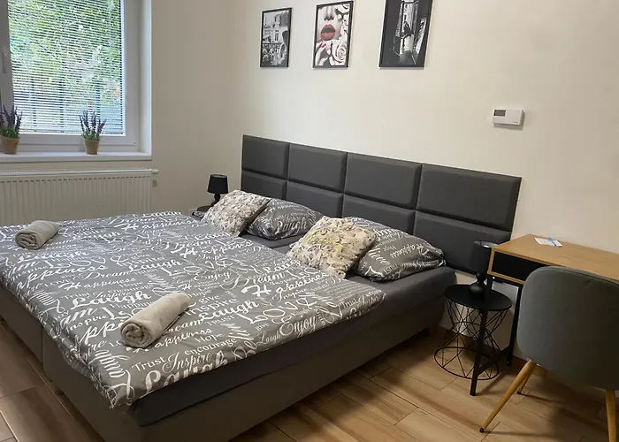 Apartament Cerna Ruze - 7