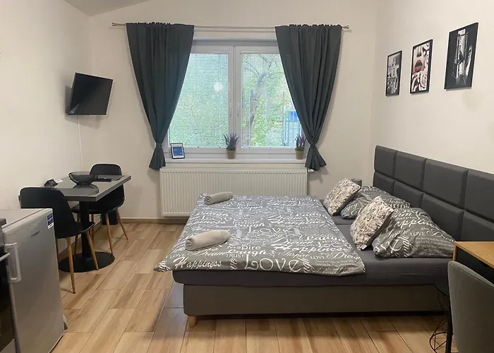 Apartament Cerna Ruze - 7 *