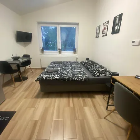 černá Růže - 7 Plzeň